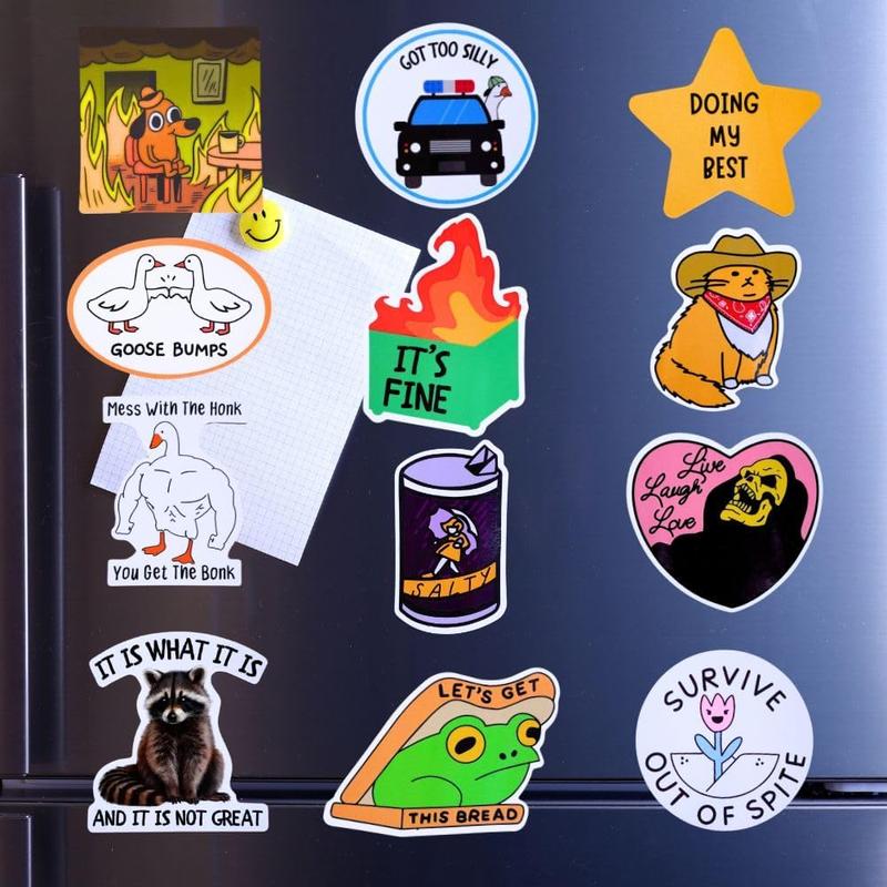 12packs Funny Fridge Magnets Cute Fun Sassy Quirky Novelty Magnet for Adults Car Desk Kitchen Meme This is Fine Dumpster Dog Live Laugh Love Howdy Silly Goose Bumps Raccoon Accessories Gifts Decor Magnetic