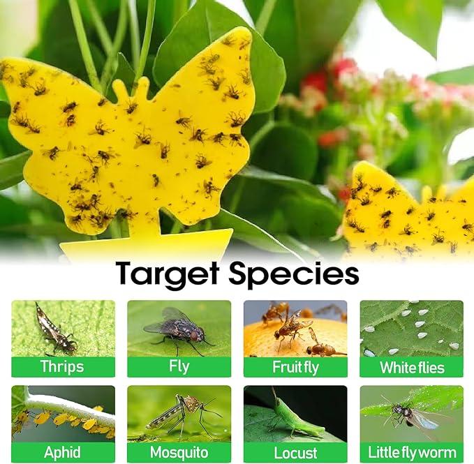 58 Pcs Flying Insect Traps for Plants,Indoors, Outdoors, Kitchen, Yellow Sticky Traps for Fungus Gnat, Fly and Fruit Fly, Flying Insects, Non-Toxic & Odorless, Kid & Pet Safe, Economic Pack