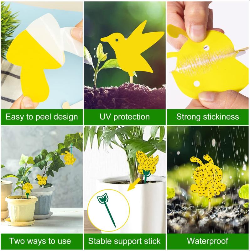 60 Pack Fruit Fly Traps for Indoors Gnat Killer Indoor Yellow Sticky Traps Fungus Gnat Sticky Traps, Gnat Traps for House Indoor, Bug Plant Trap