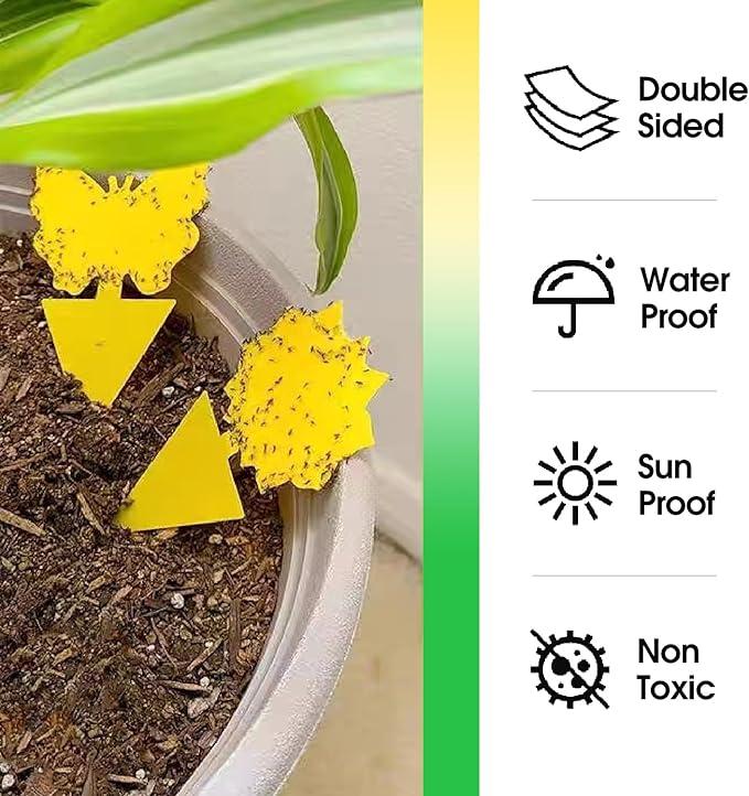 58 Pcs Flying Insect Traps for Plants,Indoors, Outdoors, Kitchen, Yellow Sticky Traps for Fungus Gnat, Fly and Fruit Fly, Flying Insects, Non-Toxic & Odorless, Kid & Pet Safe, Economic Pack