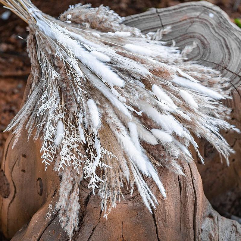 50pcs Dried Pampas Grass Decor, Fluffy Pampas Grass Bouquet, Pampas Grass Plants Live For Flower Arrangements Wedding Boho Coffee Table Home Decor, Fall Farmhouse Room Decor