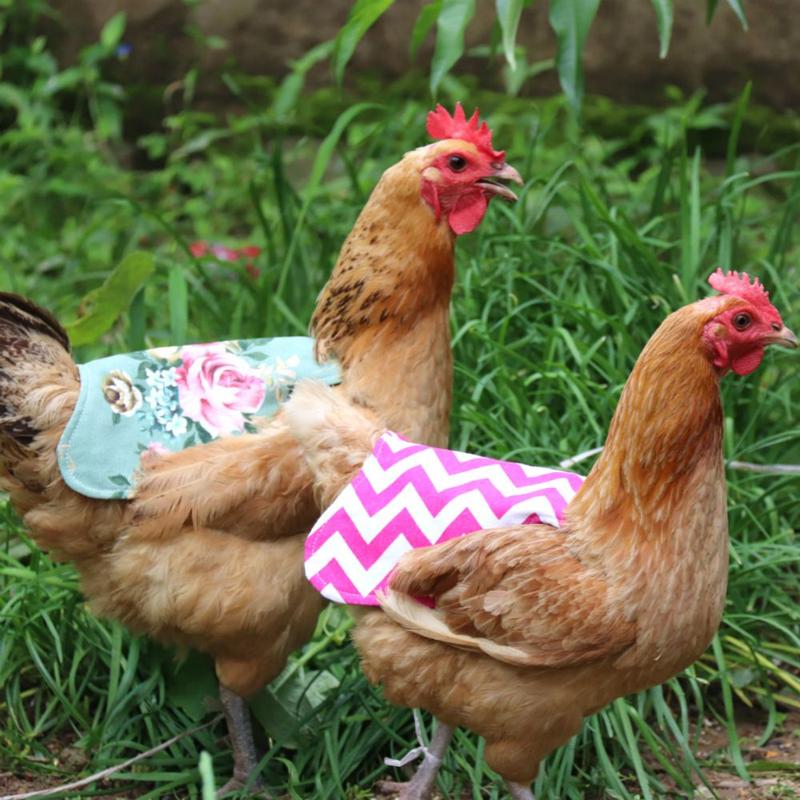 Waterproof Protection Feather Protector Back Jacket Hen Protective Apron Chicken Saddle