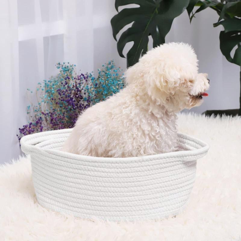 White Cute Small Woven Basket with Handles! 12x8x5, for Cat & Dog Toys, Empty Decorative Storage