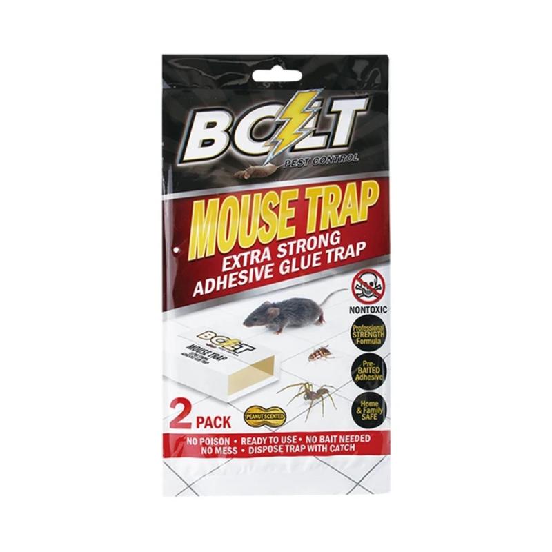 10-Pack Bolt Mouse Trap with Extra Strong Adhesive Glue - Non-Toxic & Eco-Friendly Pest Control