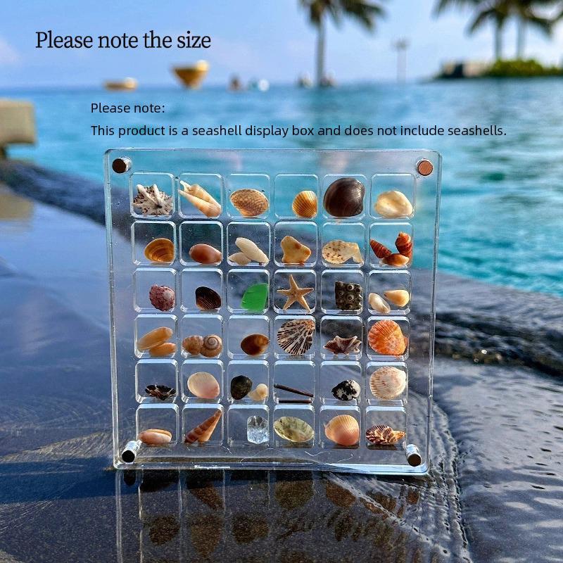 Magnetic Shell & Sea Shell Display Box, Creative Multi-grid Magnetic Shell Storage Box, Sea Shell Display Box, Home Decor, Festive Decoration [Seashells Not Included]