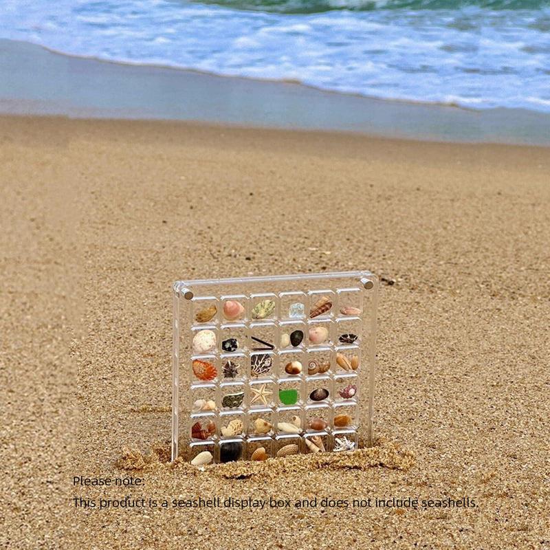 Magnetic Shell & Sea Shell Display Box, Creative Multi-grid Magnetic Shell Storage Box, Sea Shell Display Box, Home Decor, Festive Decoration [Seashells Not Included]