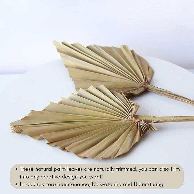 Greta Commerce Natural Dried Palm Leaves Pack of 12 Heart Oval Shape Dried Palm Spears for Wedding House Party Kitchen Decoration Indoor Outdoor Occasions Decorative Leaf Plants Gift Nature Vase Tropical Fruit Hand Photo Ornaments